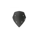 WRS Vidro Incolor Touring CRF1100L