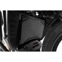 Wunderlich Protecção Radiador Pan America