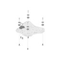 SW-Motech Adapter kit for ADVENTURE-RACK