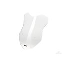 WRS Vidro Intermédio Incolor R1250GS/A