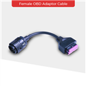 In-Parts | Hex Female OBD Adaptor Cable (10-pin adapter for OBD-II ...